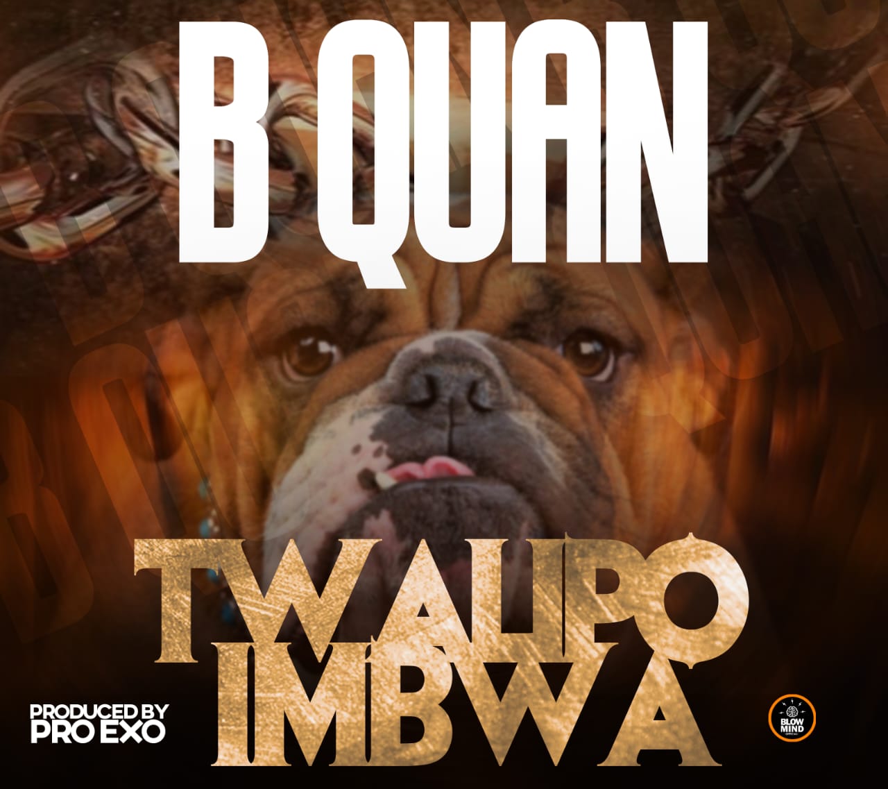 B Quan Twalipo Imbwa Mp3 Download