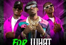 Chanda Na Kay For What Mp3 Download