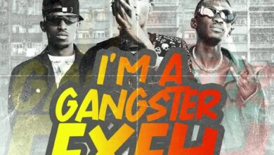 Gangster Exeh by Y Celeb Mp3 Download