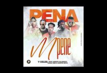 Pene Mpene by Y Celeb Mp3 Download