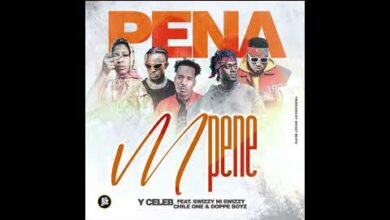 Pene Mpene by Y Celeb Mp3 Download