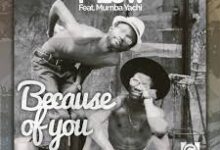 T Low Because of You Mp3 Download