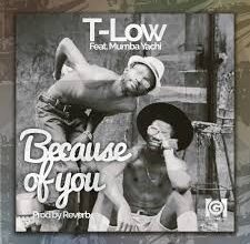 T Low Because of You Mp3 Download