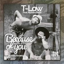 T Low Because of You Mp3 Download