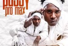 Pussy Pro Max by Y Celeb Mp3 Download
